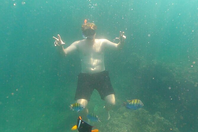 Snorkeling at Los Arcos 5 islands Hidden Beach and Cliff Jumping - Los Arcos Marine Sanctuary snorkeling: arches, caves, and fish you can spot fast