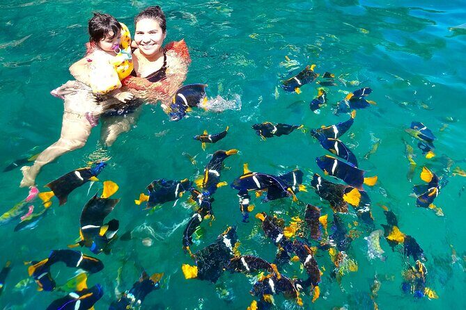 Snorkeling at Los Arcos 5 islands Hidden Beach and Cliff Jumping - Guides and group size: why it feels easy to find your way