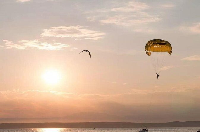 Solo Parasailing Experience in Puerto Vallarta - Views You’ll Actually Watch: Sea Life and Whale Season Chances