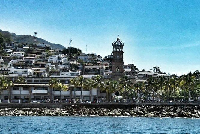 South Shore Private Sightseeing Cruise in Puerto Vallarta - The south-shore cruise stretch: coast views, smooth service, and possible wildlife