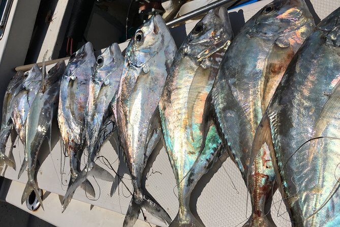 sport fishing - Sport fishing reality check: what you’re buying with a 4-hour hunt