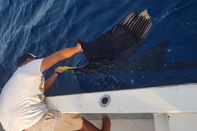 sport fishing - Whale watching: how to set expectations without ruining the day