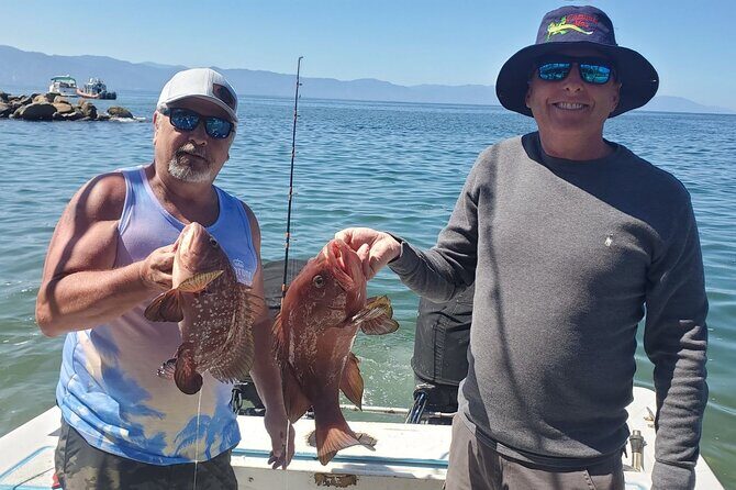 Sport Fishing Adventure in Puerto Vallarta - Wildlife moments while you fish (dolphins, whales, turtles)