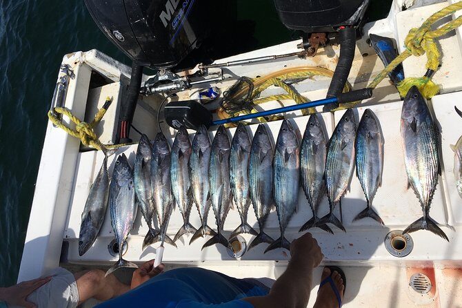 sport fishing - Price and value: $613.59 per group (up to 4)
