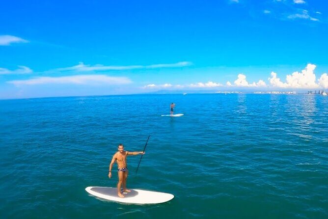 Stand Up Paddle Boarding Adventure in Puerto Vallarta - Marine life and sunrise: what to watch for (and when)