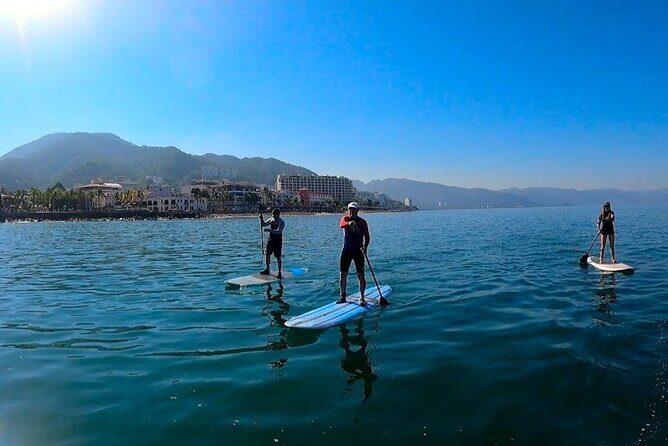 Stand Up Paddle Boarding Adventure in Puerto Vallarta - Value check: small group, route variety, and photo follow-up