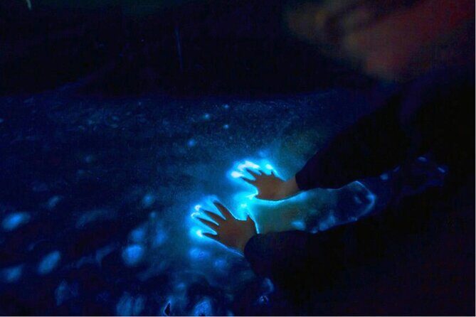 Sunset and Bioluminescence Boat Tour at Los Arcos Islands - Stop 1: Playa Mismaloya and the Night of the Iguana story