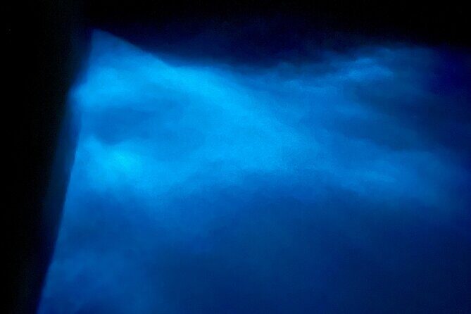 Sunset and Bioluminescence Boat Tour at Los Arcos Islands - What you get for the $79: value that goes beyond the ticket
