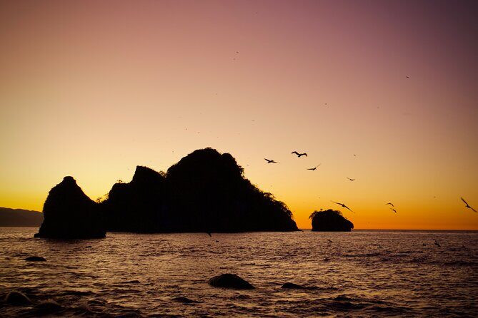 Sunset and Bioluminescence Boat Tour at Los Arcos Islands - Timing can shift: clouds, darkness, and visibility
