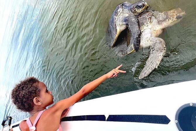 Swim and Paddle Board with Wild Dolphin Pods in Puerto Vallarta - Comfort and Gear: Small Things That Save the Day