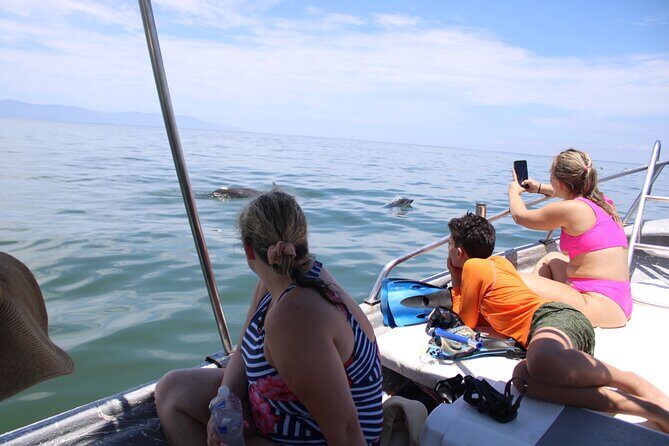 Swim and Paddle Board with Wild Dolphin Pods in Puerto Vallarta - Paddle Boards, Snorkeling, and Towable Boards (In Plain English)