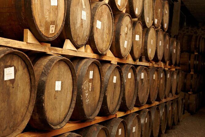 Tequila Jalisco Full Day Tour from Puerto Vallarta - Key highlights worth planning for