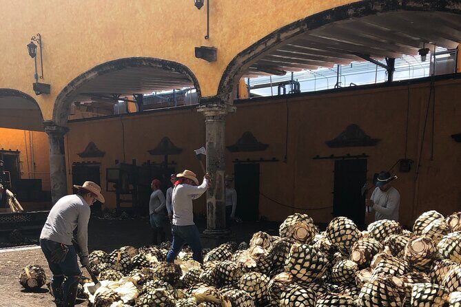 Tequila Jalisco Full Day Tour from Puerto Vallarta - El Tequileño distillery: La Guarraña and a guided tasting that actually teaches
