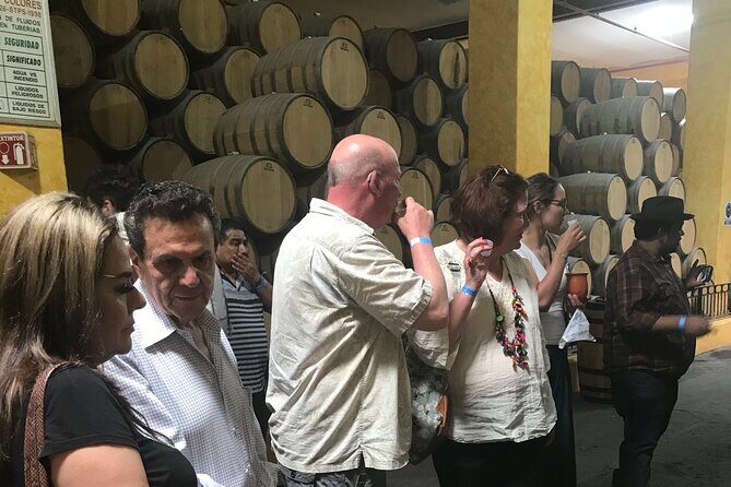 Tequila Jalisco Full Day Tour from Puerto Vallarta - The tasting reality check: how to plan your day around alcohol