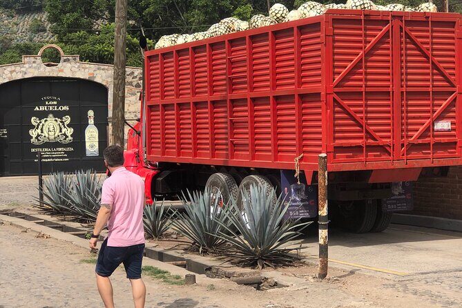 Tequila Jalisco Full Day Tour from Puerto Vallarta - Price and value: what $386.53 per person buys you