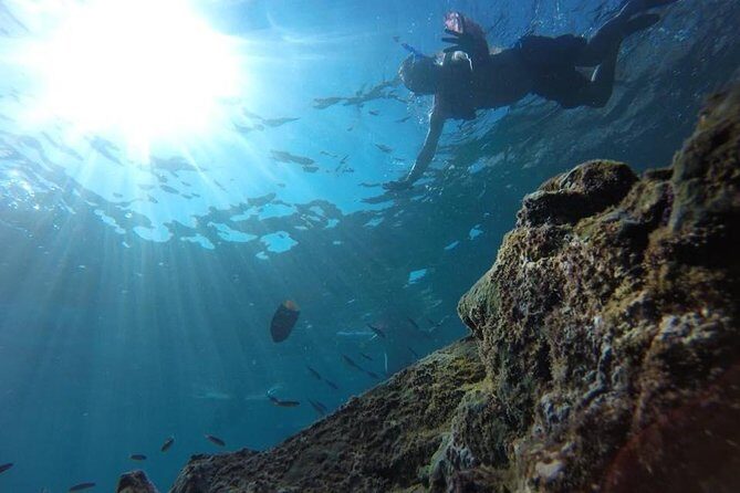 Tour islands Marietas Snorkeling and Nopalera Beach - Marietas islands in 2 hours: the value of a tight, focused trip