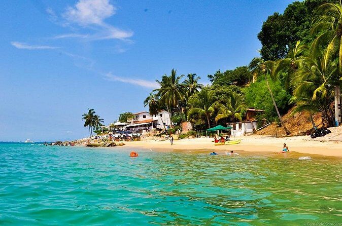 Tour Yelapas and Mahahuitas in Catamaran with Lunch and Open Bar! - Who This Tour Fits Best (and Who Might Want Something Else)