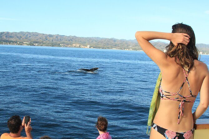 Ultimate Whale Watching Experience All-Inclusive - Islas Marietas Beach Time: Playa La Nopalera and the Boat-to-Water Rhythm