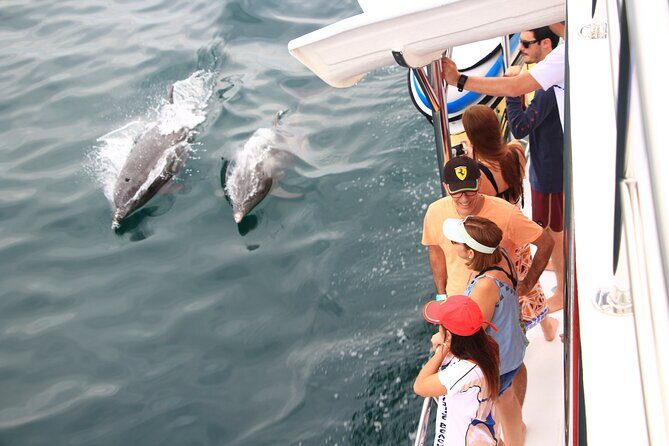 Ultimate Whale Watching Experience All-Inclusive - The Crew and On-Board Energy: Friendly, Attentive, and Built for a Good Day