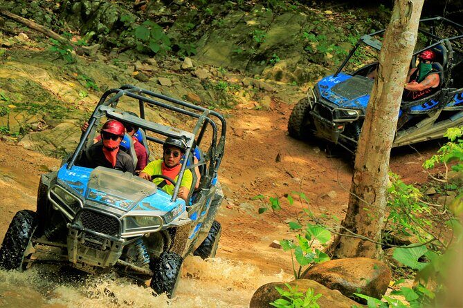 Unique Experience on ATVs or Razer through the Jungle! - The ride itself: panoramic stops, photo breaks, and the pacing that keeps it fun
