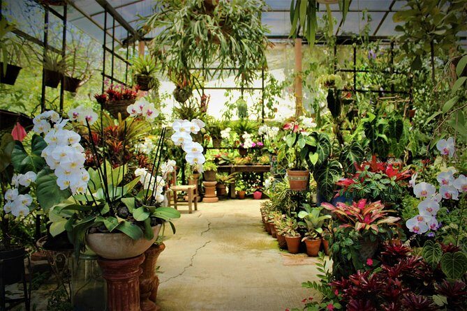 Vallarta Botanical Garden and Tequila Tasting from Puerto Vallarta - Jardin Botanico de Vallarta: More Than Pretty Flowers