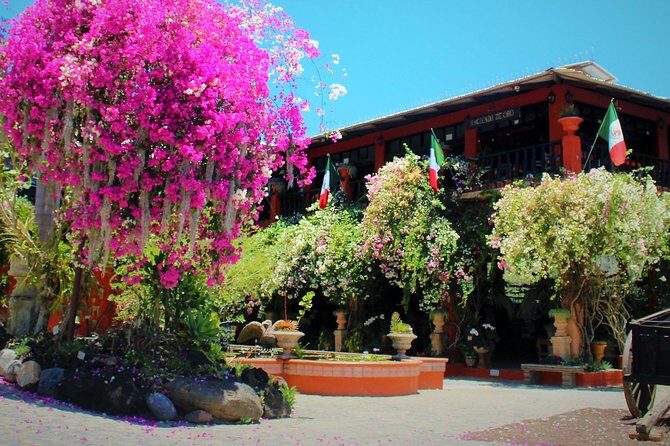 Vallarta Botanical Garden and Tequila Tasting from Puerto Vallarta - Price and Value: What $85 Gets You (and What It Doesn’t)
