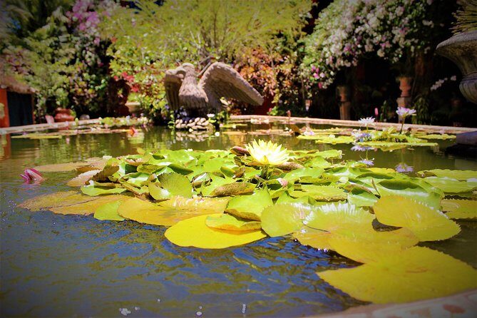Vallarta Botanical Garden and Tequila Tasting from Puerto Vallarta - What to Pack for Gardens, Humidity, and Tasting