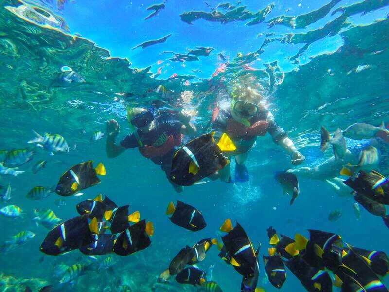 Vallarta: Yelapa Waterfall & Majahuitas Snorkel Adventure - Quick hits before you go