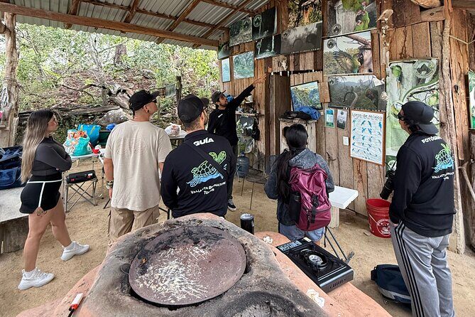 Visit the Sanctuary of the Guacamayas in free life - Why the Guacamayas Sanctuary Tour Feels Different Than a Typical Animal Stop