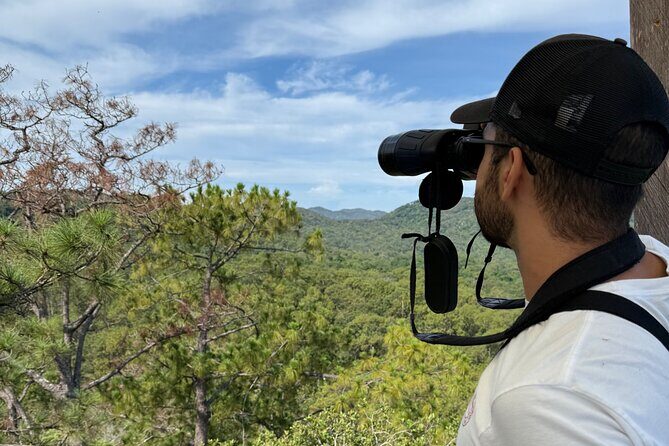 Visit the Sanctuary of the Guacamayas in free life - The Big Takeaway: Education Plus Real Wild Observation