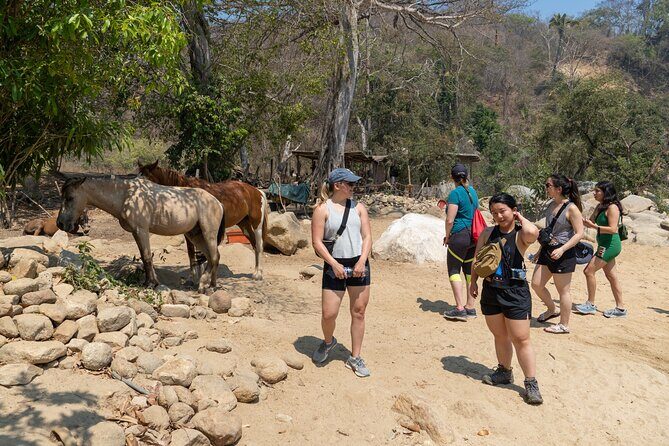 Waterfall in the jungle of Puerto Vallarta - Price and Value: Is $47.73 Actually a Good Deal?
