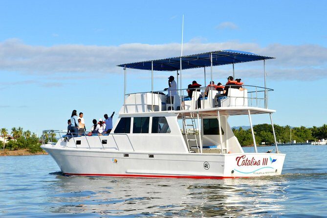 Whale & Dolphin Watching Cruise in Puerto Vallarta All Inclusive - Boat Size, Crowds, and Seating: Your View Depends on the Early Move