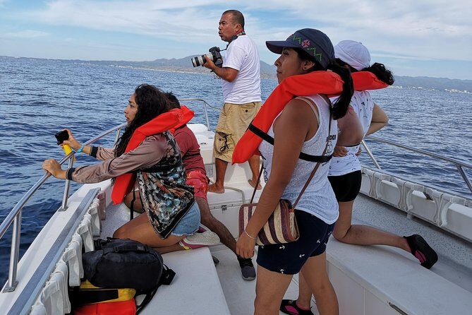 Whale Encounter Puerto Vallarta - Getting there: Marina Vallarta meeting point without the morning scramble