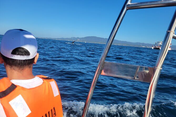 Whale watching 3 hours in Puerto Vallarta - Port tax, bottled water, and the extra costs you should expect