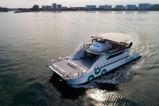 Whale Watching Adventure In Puerto Vallarta - Price and Value: What Your $99 Covers (and What It Doesn’t)