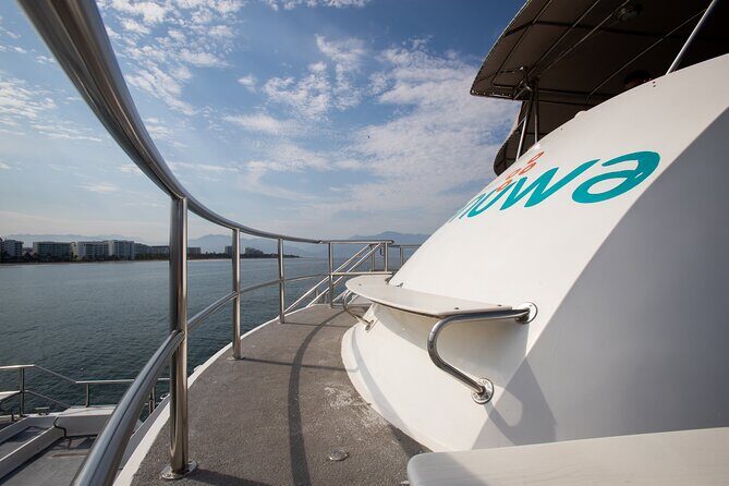 Whale Watching Adventure In Puerto Vallarta - Group Size and Comfort: Up to 100 People