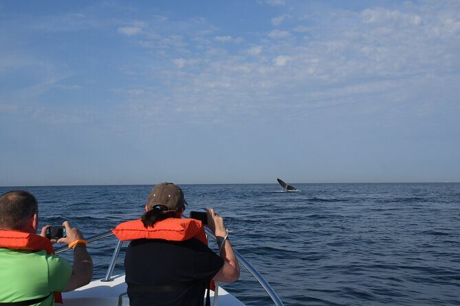 Whale Watching Adventure – Led by a Marine Biologist - Who this whale watching adventure fits best