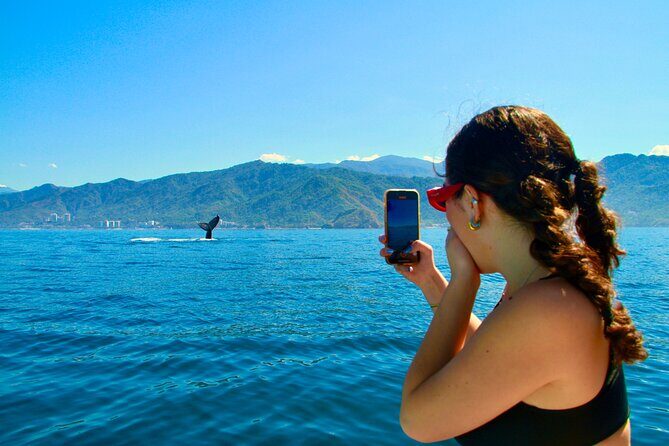 Whale Watching and Los Arcos 5 Islands Adventure - Key Points Worth Knowing