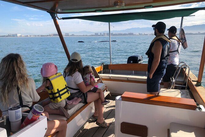 Whale Watching Experience – 4 Hours in Puerto Vallarta - Key highlights at a glance