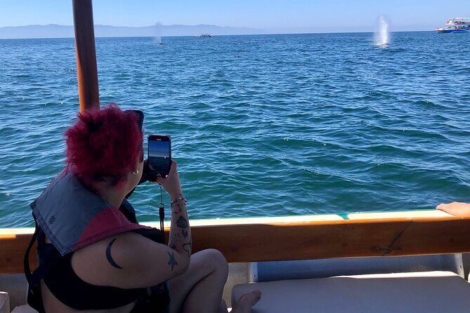 Whale Watching Experience – 4 Hours in Puerto Vallarta - Marine biologist narration and the hydrophone moment