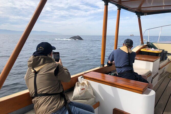 Whale Watching Experience – 4 Hours in Puerto Vallarta - What’s actually included: life jackets, hydrophone, and real food