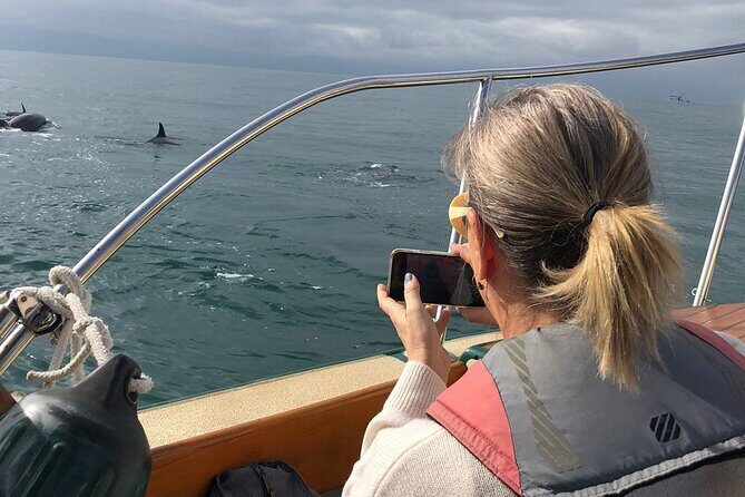 Whale Watching Experience – 4 Hours in Puerto Vallarta - Who should book this Puerto Vallarta whale watching tour?