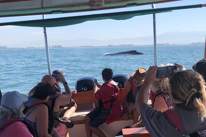 Whale Watching Experience – 4 Hours in Puerto Vallarta - The 4-hour rhythm: how the time is used on the water