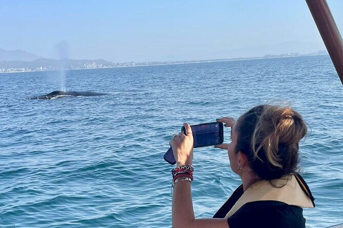 Whale Watching Experience in Puerto Vallarta - Key highlights you can count on