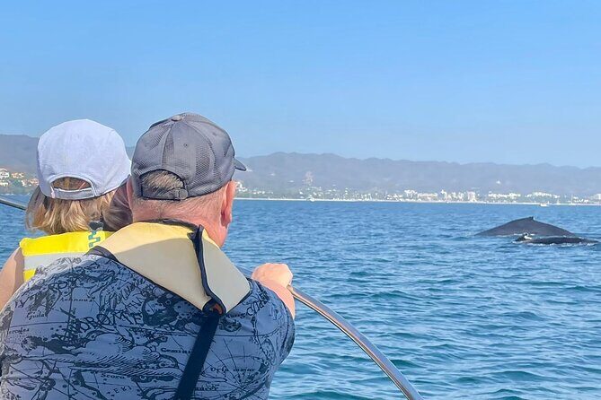Whale Watching Experience in Puerto Vallarta - Why Whale Watching in the Bay of Banderas Feels Different
