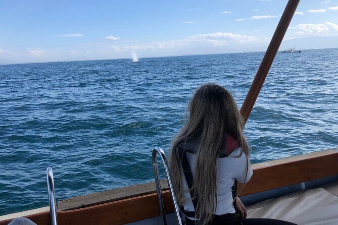 Whale Watching Experience in Puerto Vallarta - Food, Drinks, and Small Comforts That Add Up