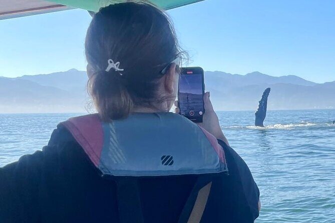 Whale Watching Experience in Puerto Vallarta - Meet the Guides: Licensed Bilingual Naturalists and the Isa Factor