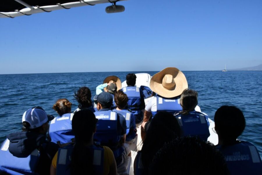 Whale Watching Guaranteed Experience in Puerto Vallarta - Key things I’d plan around before you go