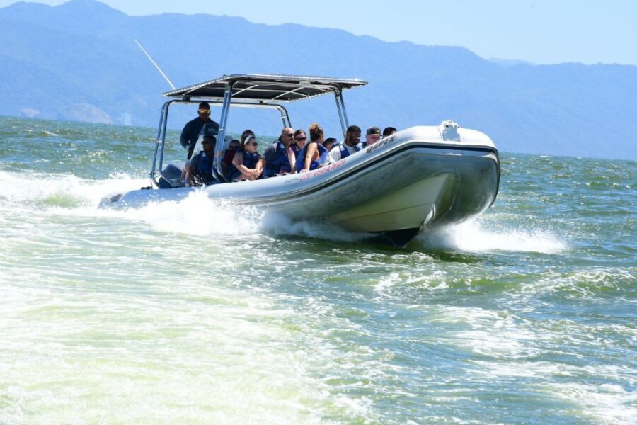 Whale Watching Guaranteed Experience in Puerto Vallarta - Whale season in Banderas Bay: when “guaranteed” starts to make sense