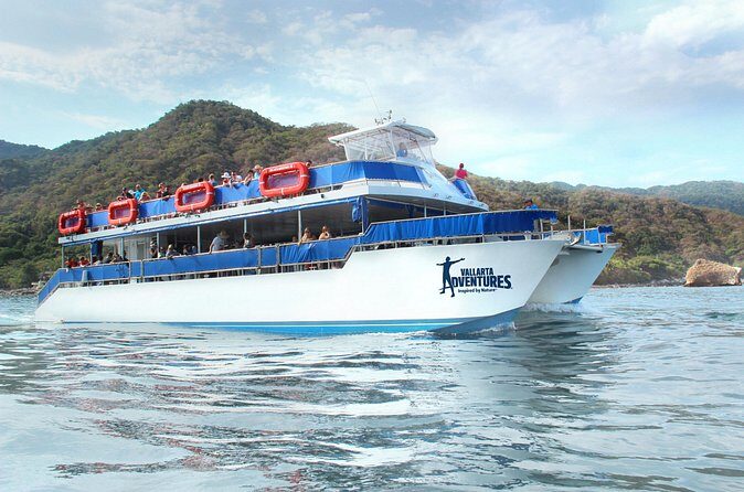 Whale Watching in Puerto Vallarta! - Who Should Book This Whale Watching Tour?